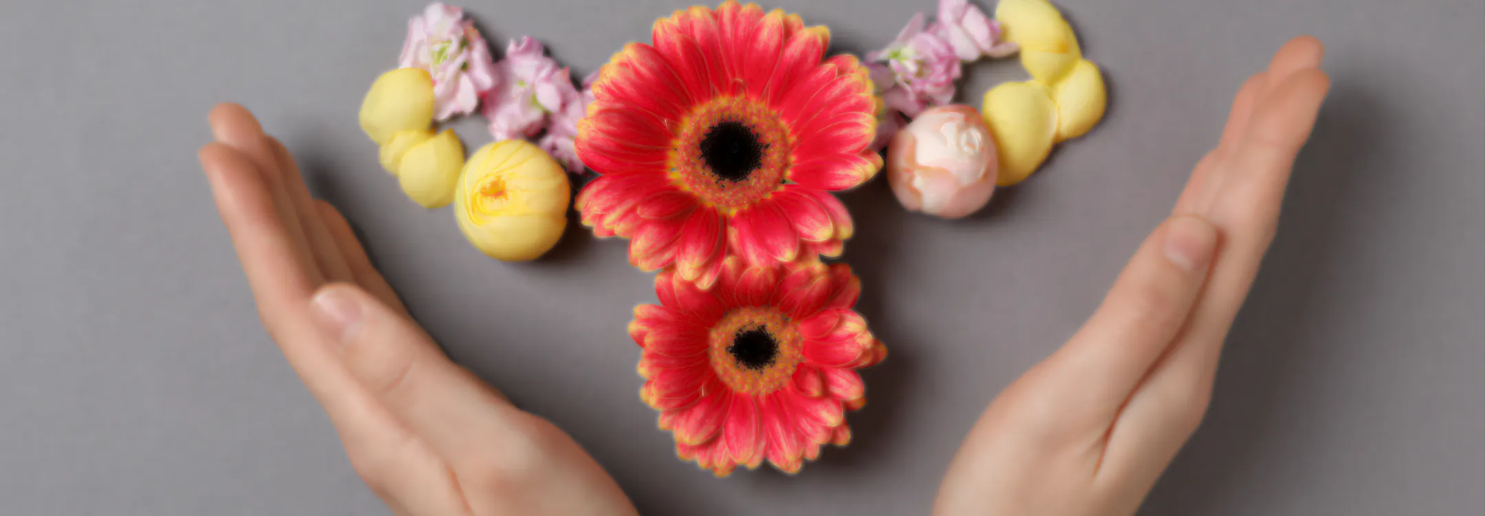 Two hands gently framing a floral arrangement shaped like a uterus and ovaries.