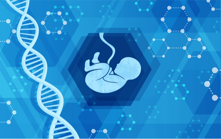 Image for What Questions Should I Ask My Obstetrician About Genetic Testing?